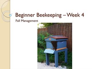 Beginner Beekeeping – Week 4