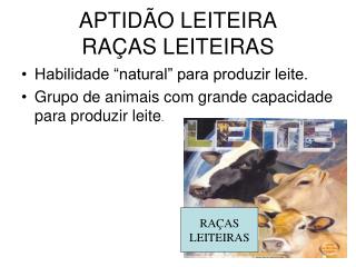 APTIDÃO LEITEIRA RAÇAS LEITEIRAS