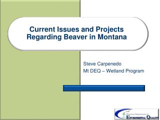 Current Issues and Projects Regarding Beaver in Montana