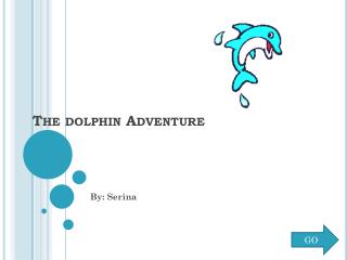 The dolphin Adventure