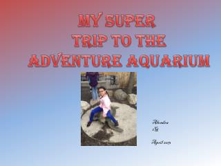 My Super Trip to the Adventure Aquarium