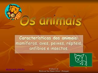 Características dos animais: mamíferos, aves, peixes, répteis, anfíbios e insectos.