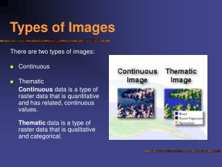 Types of Images