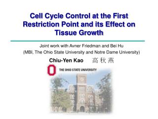 Cell Cycle Control at the First Restriction Point and its Effect on Tissue Growth