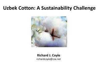Uzbek Cotton: A Sustainability Challenge