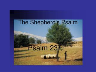 The Shepherd’s Psalm