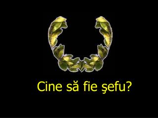 Cine să fie şefu ?