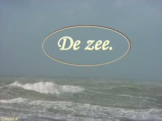 De zee.