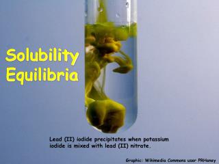 Solubility Equilibria