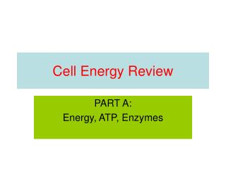 Cell Energy Review