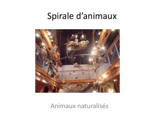 Spirale d’animaux