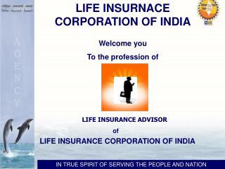 Welcome you To the profession of