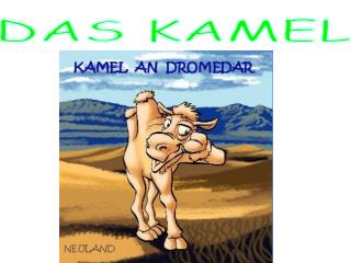 DAS KAMEL