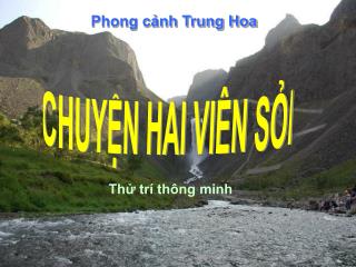 CHUYỆN HAI VIÊN SỎI