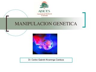 MANIPULACION GENETICA