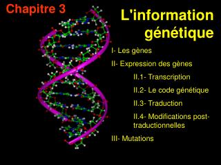 I- Les gènes II- Expression des gènes 	II.1- Transcription 	II.2- Le code génétique