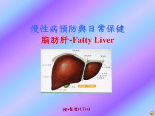 慢性病預防與日常保健 脂肪肝 - Fatty Liver