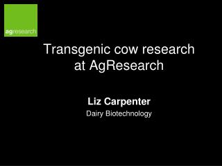 Transgenic cow research at AgResearch