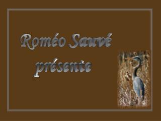 Roméo Sauvé présente