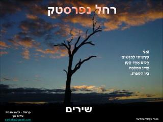 רחל נפרסטק
