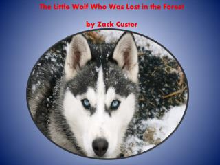 The Little Wolf Who W as L ost in the F orest by Zack C uster