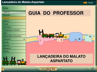 GUIA DO PROFESSOR