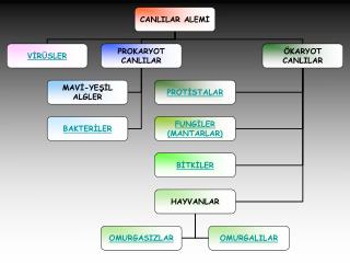 CANLILAR ALEMİ