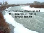 Winter Survival, Movement, and Bio-energetics of Trout in Tailwater Habitat