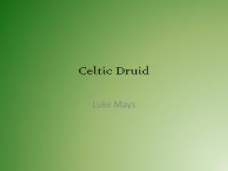 Celtic Druid