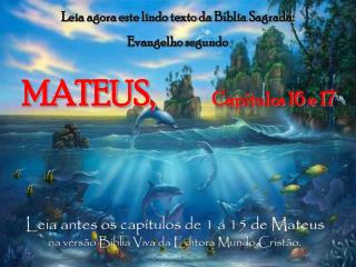 Leia agora este lindo texto da Bíblia Sagrada: Evangelho segundo MATEUS, Capítulos 16 e 17