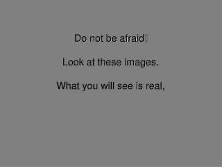 Do not be afraid! Look at these images. What you will see is real,