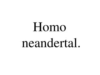 Homo neandertal.