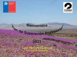 Bienvenidos &quot;Plan de Superación Profesional&quot; 2011