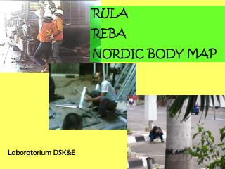RULA REBA NORDIC BODY MAP