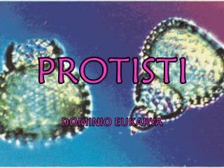 PROTISTI