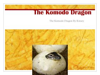 The Komodo Dragon