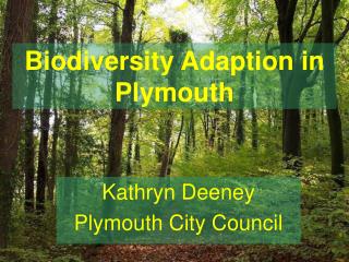 Biodiversity Adaption in Plymouth
