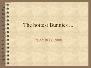 The hottest Bunnies ...