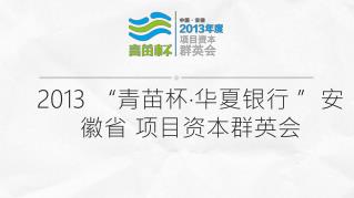 2013 “青苗杯·华夏银行 ”安徽省 项目资本群英会