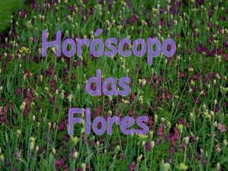 Horóscopo das Flores