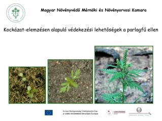 Magyar Növényvédő Mérnöki és Növényorvosi Kamara