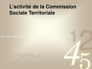L’activité de la Commission Sociale Territoriale