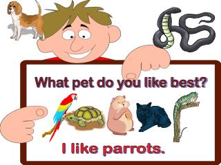 What pet do you like best?