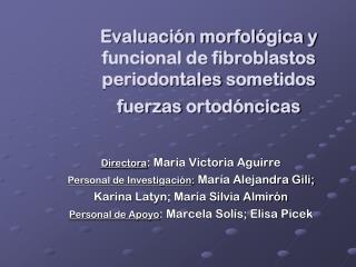 Evaluación morfológica y funcional de fibroblastos periodontales sometidos fuerzas ortodóncicas