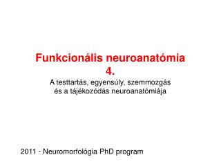 Funkcionális neuroanatómia 4 .