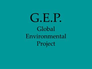 G.E.P. Global Environmental Project