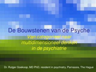 De Bouwstenen van de Psyche Van categori eel naar multidimensioneel denken in de psychiatrie