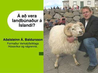 Á að vera landbúnaður á Íslandi?