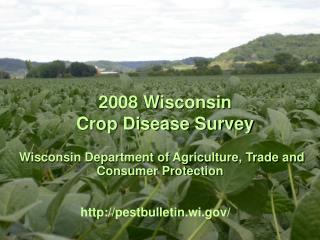 2008 Wisconsin Crop Disease Survey