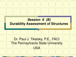 Session 6 (B) Durability Assessment of Structures